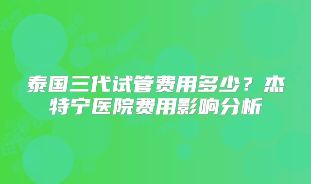 泰国三代试管费用多少？杰特宁医院费用影响分析