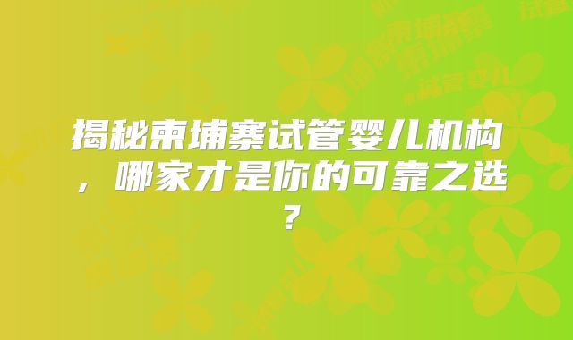 揭秘柬埔寨试管婴儿机构，哪家才是你的可靠之选？