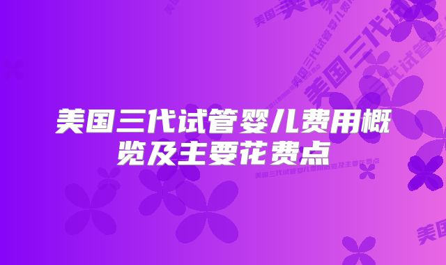 美国三代试管婴儿费用概览及主要花费点