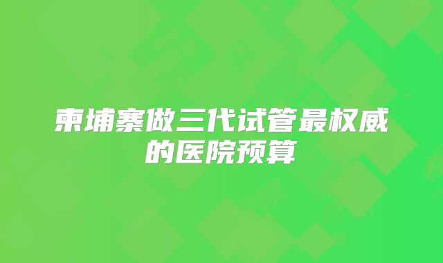 柬埔寨做三代试管最权威的医院预算