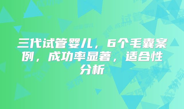 三代试管婴儿，6个毛囊案例，成功率显著，适合性分析