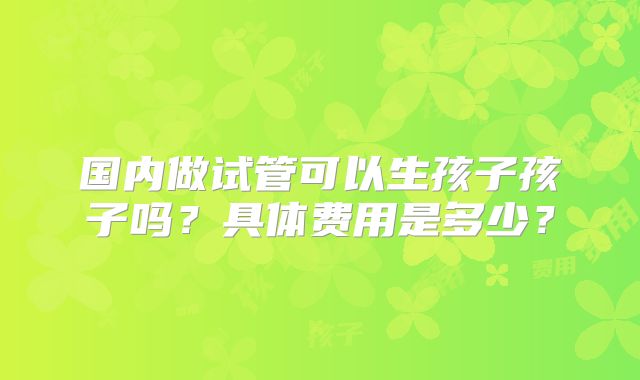 国内做试管可以生孩子孩子吗？具体费用是多少？