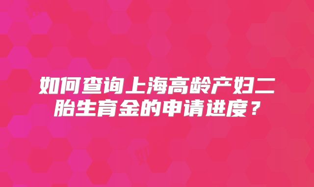 如何查询上海高龄产妇二胎生育金的申请进度？