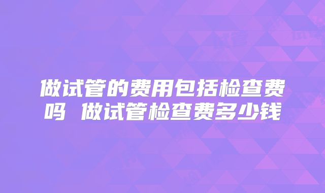 做试管的费用包括检查费吗 做试管检查费多少钱