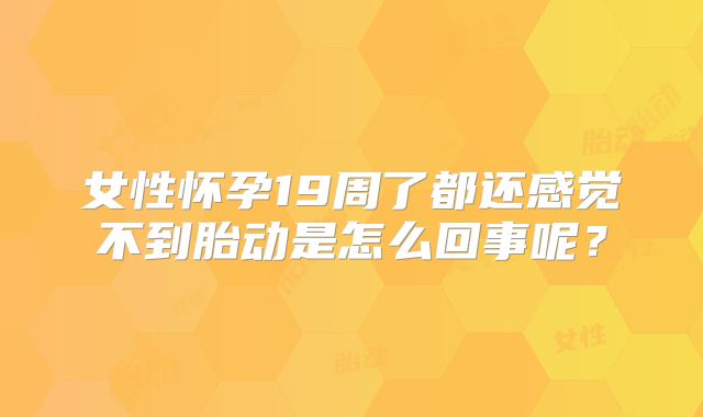 女性怀孕19周了都还感觉不到胎动是怎么回事呢?