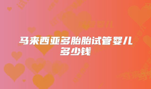 马来西亚多胎胎试管婴儿多少钱