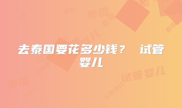 去泰国要花多少钱？ 试管婴儿