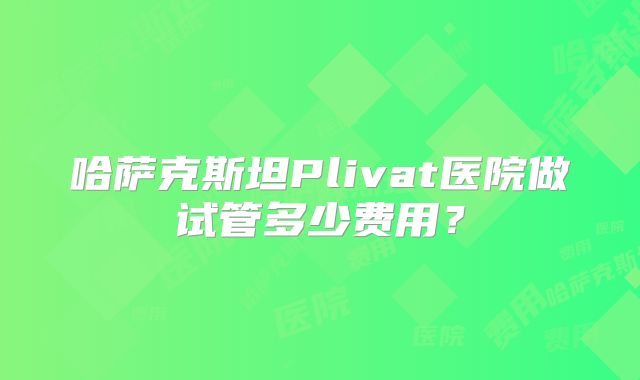 哈萨克斯坦Plivat医院做试管多少费用？