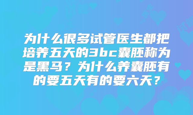 为什么很多试管医生都把培养五天的3bc囊胚称为是黑马？为什么养囊胚有的要五天有的要六天？