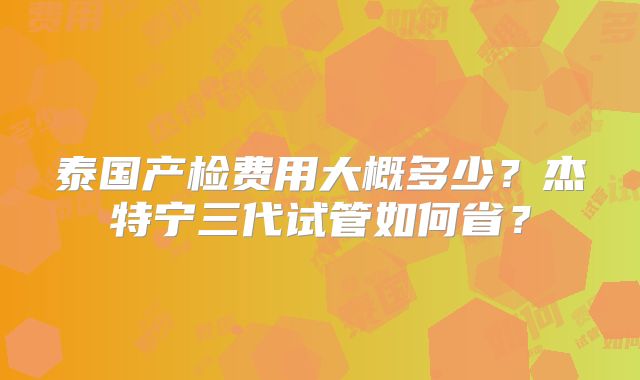 泰国产检费用大概多少?杰特宁三代试管如何省?