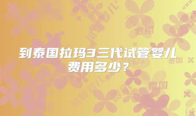 到泰国拉玛3三代试管婴儿费用多少？