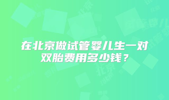 在北京做试管婴儿生一对双胎费用多少钱？