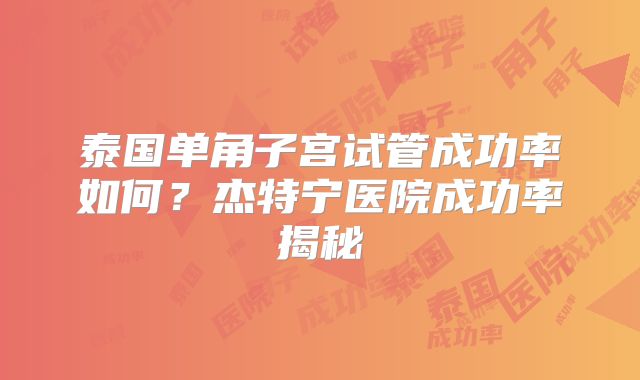泰国单角子宫试管成功率如何?杰特宁医院成功率揭秘