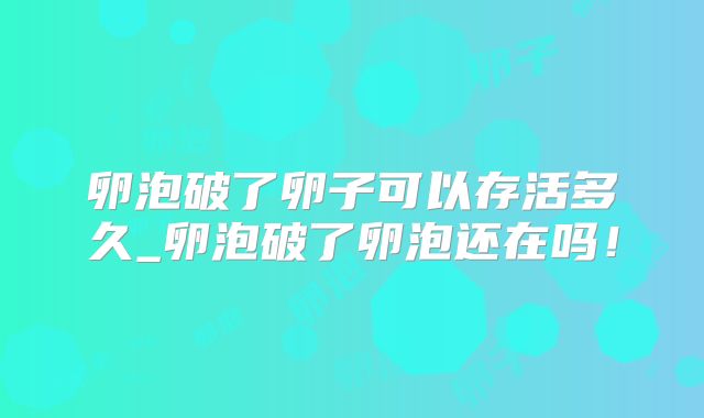 卵泡破了卵子可以存活多久_卵泡破了卵泡还在吗！