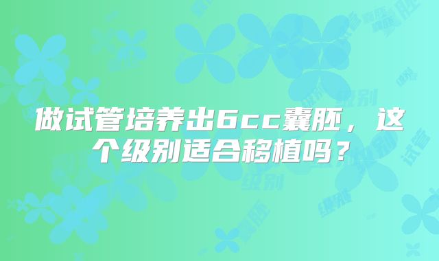 做试管培养出6cc囊胚,这个级别适合移植吗?