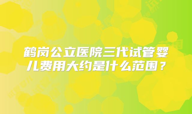 鹤岗公立医院三代试管婴儿费用大约是什么范围？