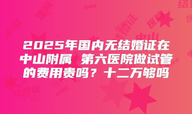 2025年国内无结婚证在中山附属 第六医院做试管的费用贵吗？十二万够吗