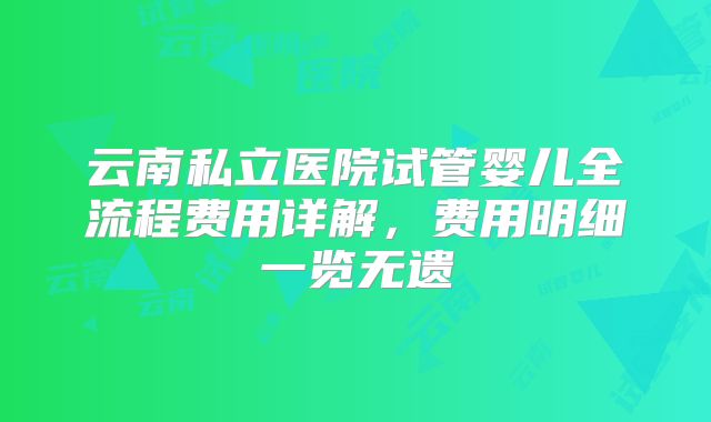 云南私立医院试管婴儿全流程费用详解，费用明细一览无遗