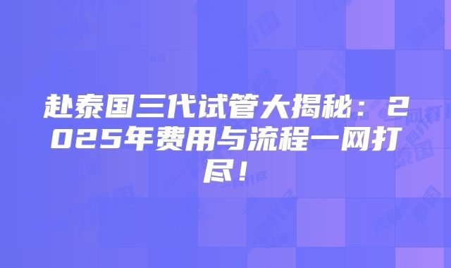 赴泰国三代试管大揭秘：2025年费用与流程一网打尽！