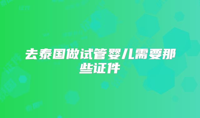 去泰国做试管婴儿需要那些证件