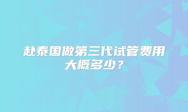 赴泰国做第三代试管费用大概多少？