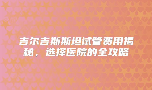 吉尔吉斯斯坦试管费用揭秘,选择医院的全攻略