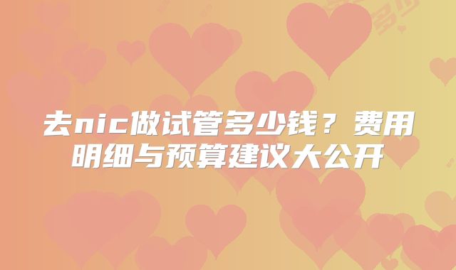 去nic做试管多少钱？费用明细与预算建议大公开