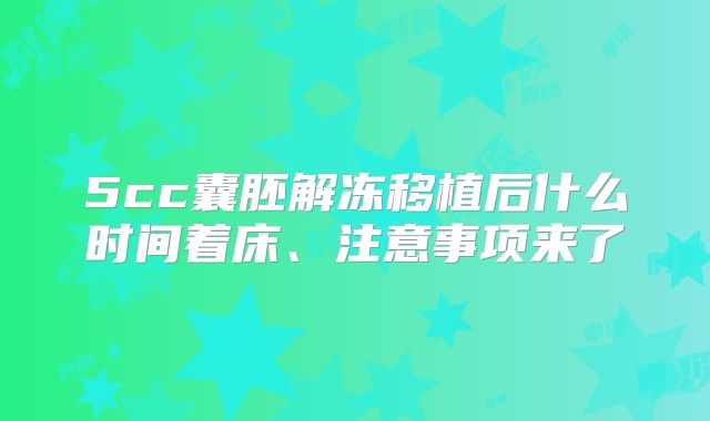 5cc囊胚解冻移植后什么时间着床、注意事项来了