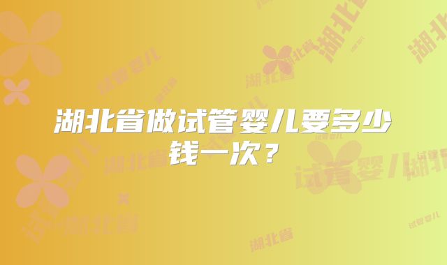 湖北省做试管婴儿要多少钱一次？