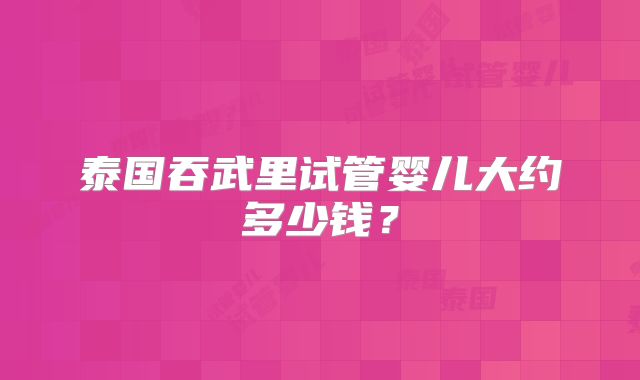 泰国吞武里试管婴儿大约多少钱？