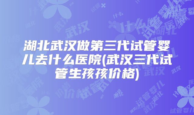湖北武汉做第三代试管婴儿去什么医院(武汉三代试管生孩孩价格)