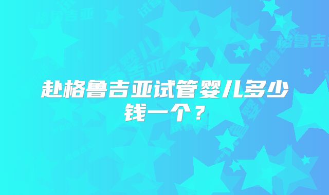 赴格鲁吉亚试管婴儿多少钱一个？