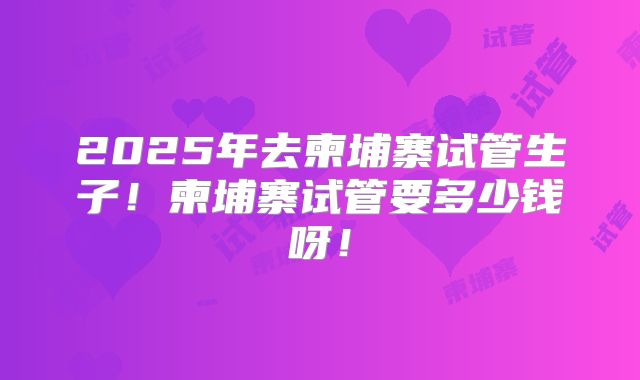 2025年去柬埔寨试管生子!柬埔寨试管要多少钱呀!
