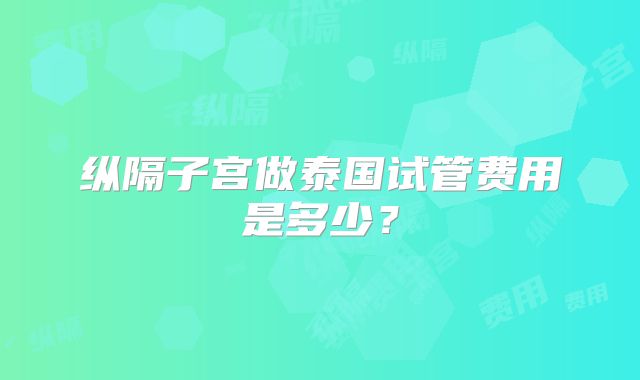 纵隔子宫做泰国试管费用是多少？
