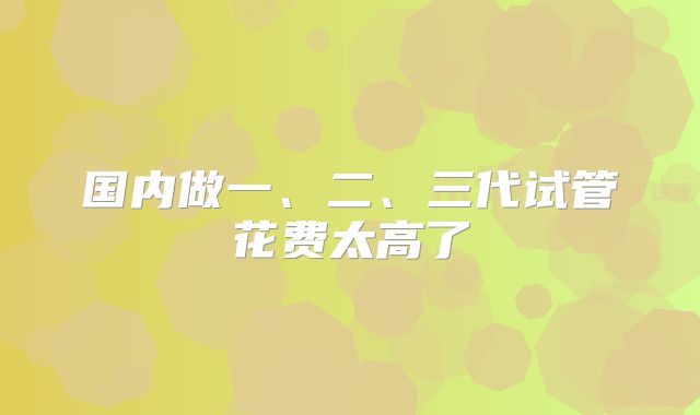 国内做一、二、三代试管花费太高了