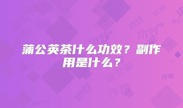 蒲公英茶什么功效？副作用是什么？