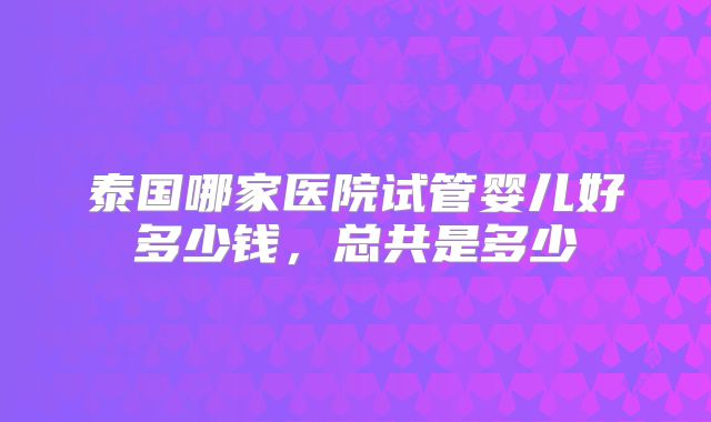 泰国哪家医院试管婴儿好多少钱，总共是多少