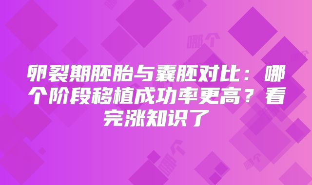 卵裂期胚胎与囊胚对比：哪个阶段移植成功率更高？看完涨知识了