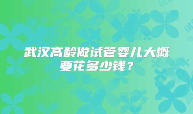 武汉高龄做试管婴儿大概要花多少钱？