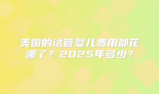 美国的试管婴儿费用都花哪了？2025年多少？