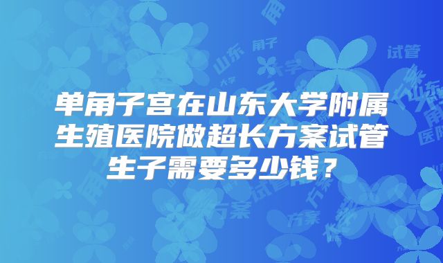 单角子宫在山东大学附属生殖医院做超长方案试管生子需要多少钱？