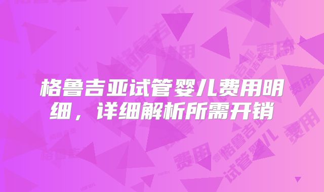 格鲁吉亚试管婴儿费用明细,详细解析所需开销
