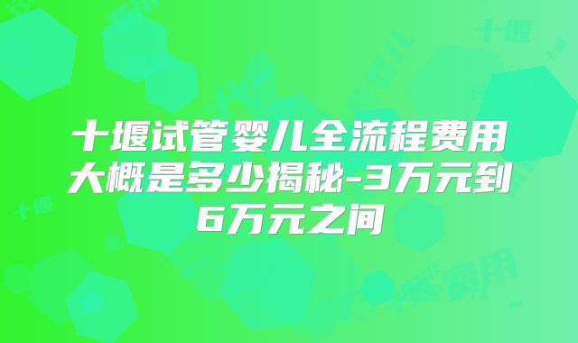 十堰试管婴儿全流程费用大概是多少揭秘-3万元到6万元之间