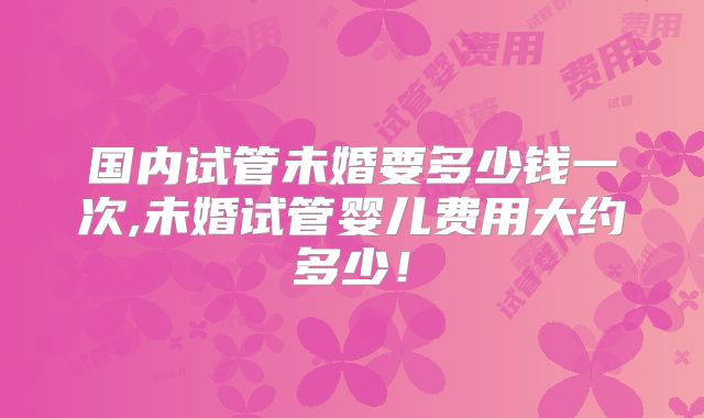 国内试管未婚要多少钱一次,未婚试管婴儿费用大约多少!