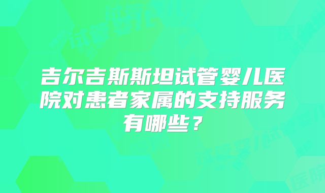 吉尔吉斯斯坦试管婴儿医院对患者家属的支持服务有哪些？