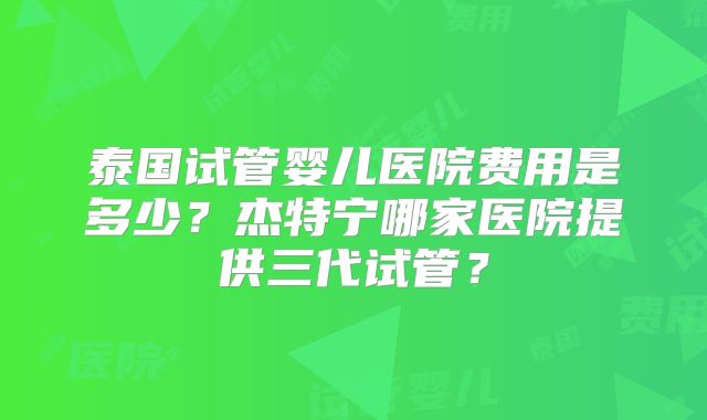 泰国试管婴儿医院费用是多少?杰特宁哪家医院提供三代试管?