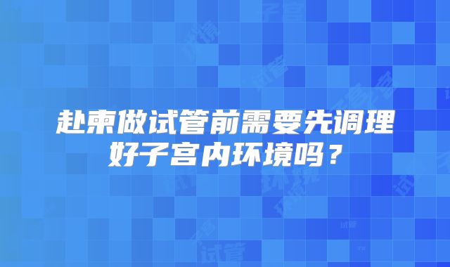 赴柬做试管前需要先调理好子宫内环境吗?