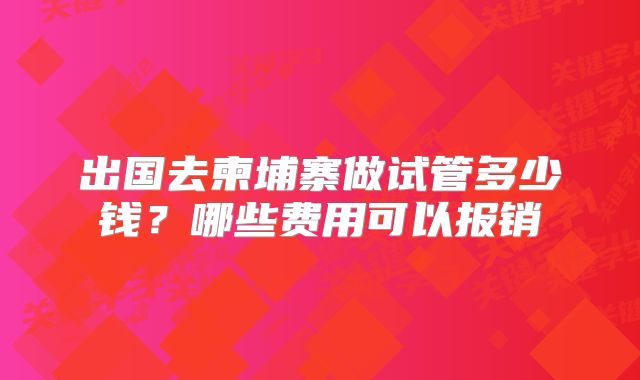 出国去柬埔寨做试管多少钱?哪些费用可以报销
