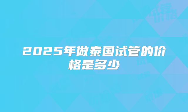 2025年做泰国试管的价格是多少