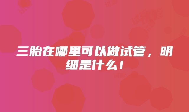三胎在哪里可以做试管，明细是什么！
